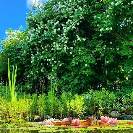 Gaestehaus - Relax Vakantiehuis